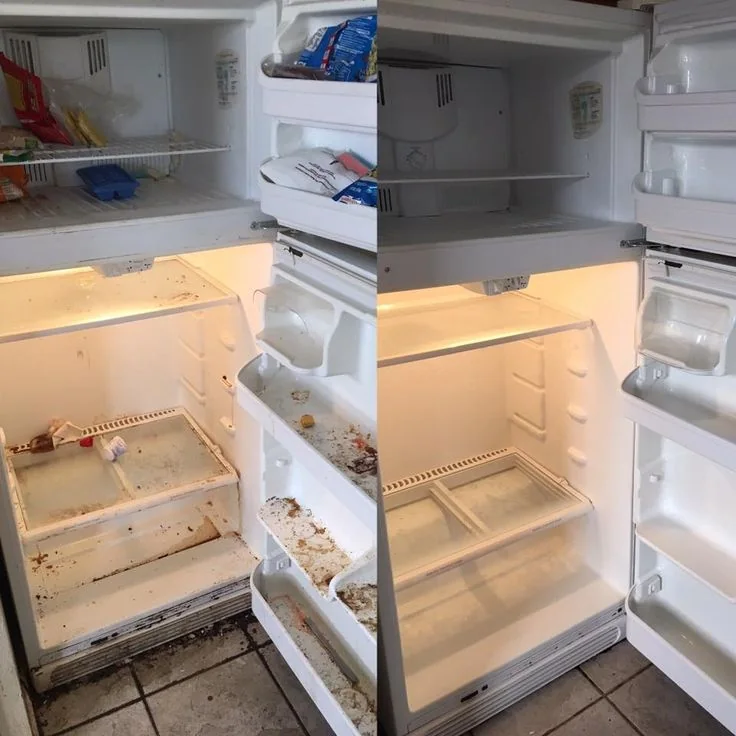 Refrigerator before and after a deep clean